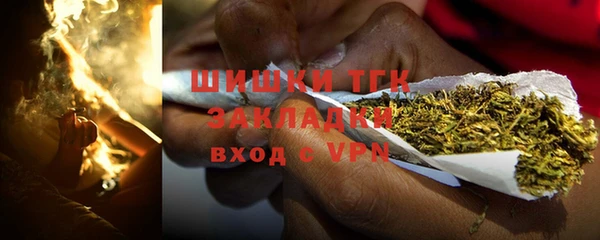индика Абаза