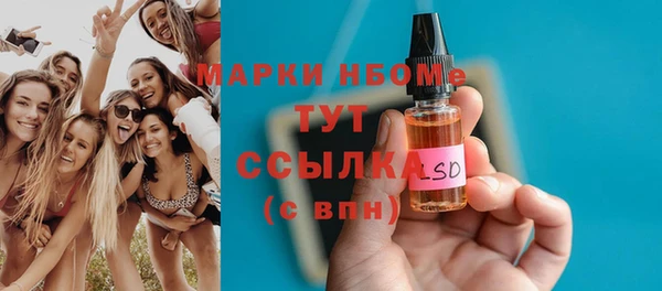 индика Абаза