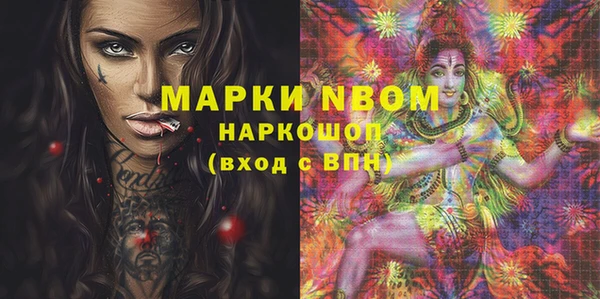 индика Абаза