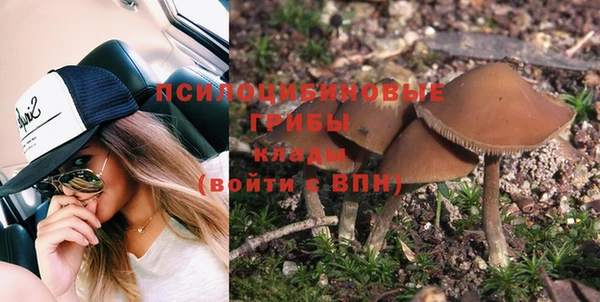 индика Абаза