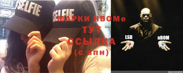 индика Абаза