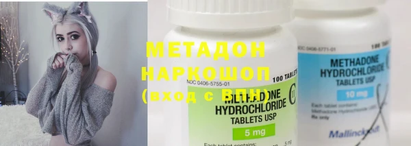 индика Абаза