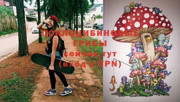молекула духа Алексин