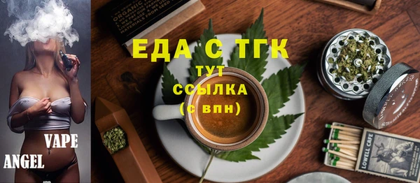 индика Абаза