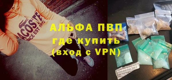 стаф Алзамай