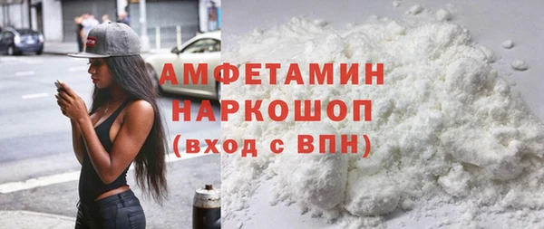стаф Алзамай