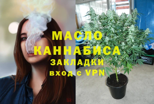 индика Абаза